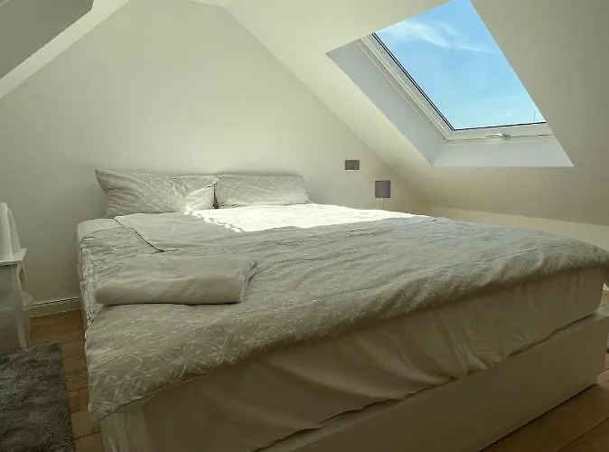 Ruhrgebiet-apartments In Stadtmitte Appartement Duisbourg